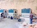 省 | 4500平豬場采暖，生能為養(yǎng)殖戶吃下“定心丸”